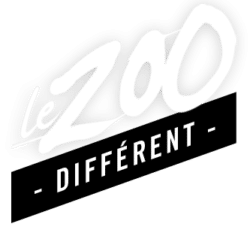 le Zoodifférent